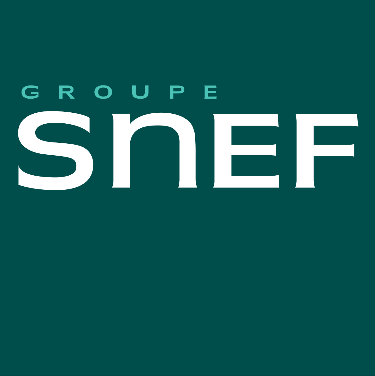 Groupe Snef